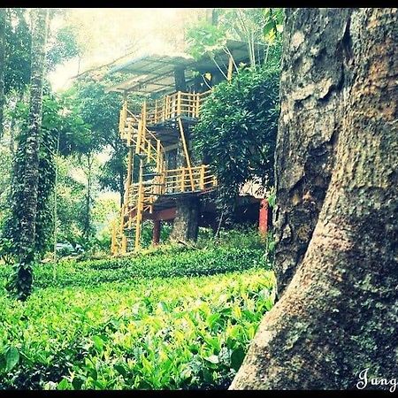 Jungle Jive Treehouse And Farm House Munnar Esterno foto