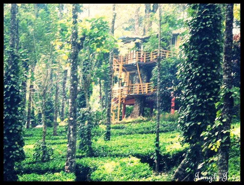Jungle Jive Treehouse And Farm House Munnar Esterno foto