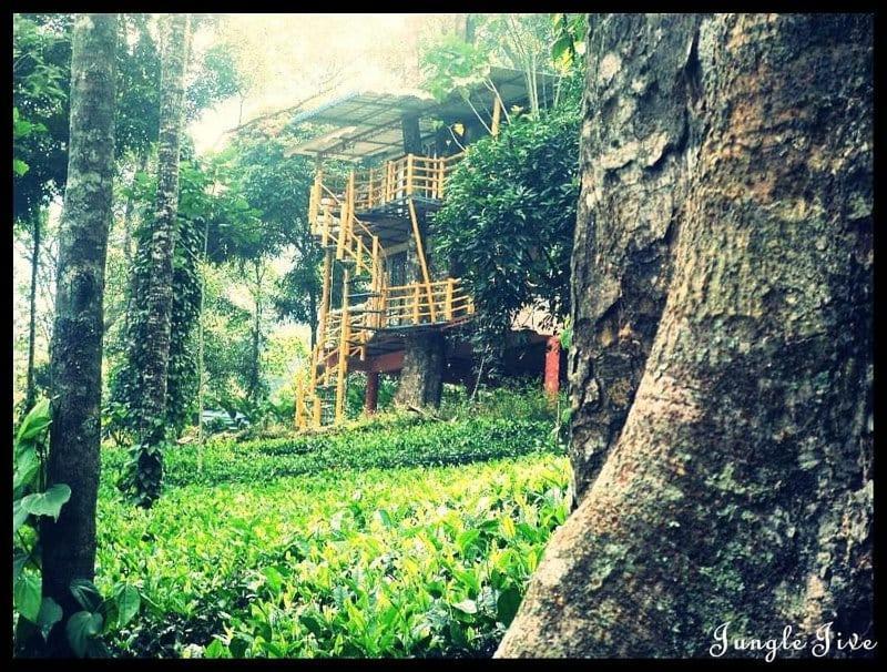 Jungle Jive Treehouse And Farm House Munnar Esterno foto