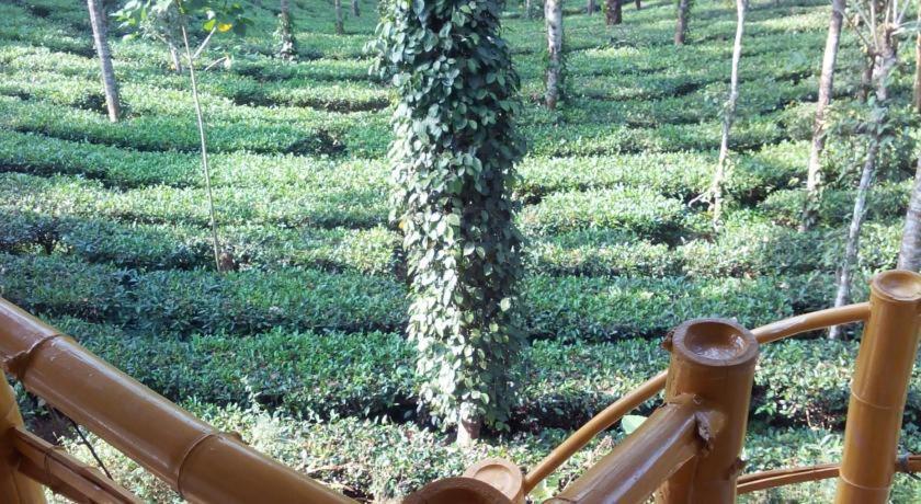 Jungle Jive Treehouse And Farm House Munnar Esterno foto