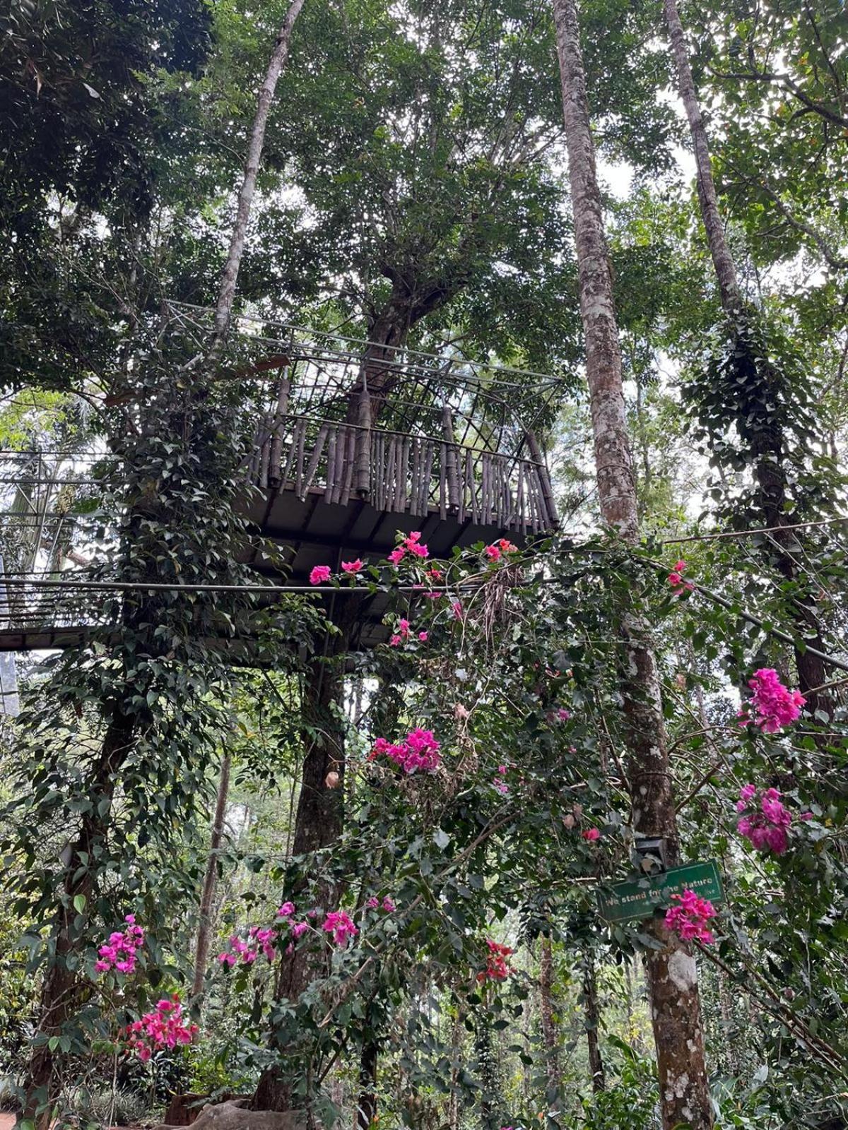 Jungle Jive Treehouse And Farm House Munnar Esterno foto