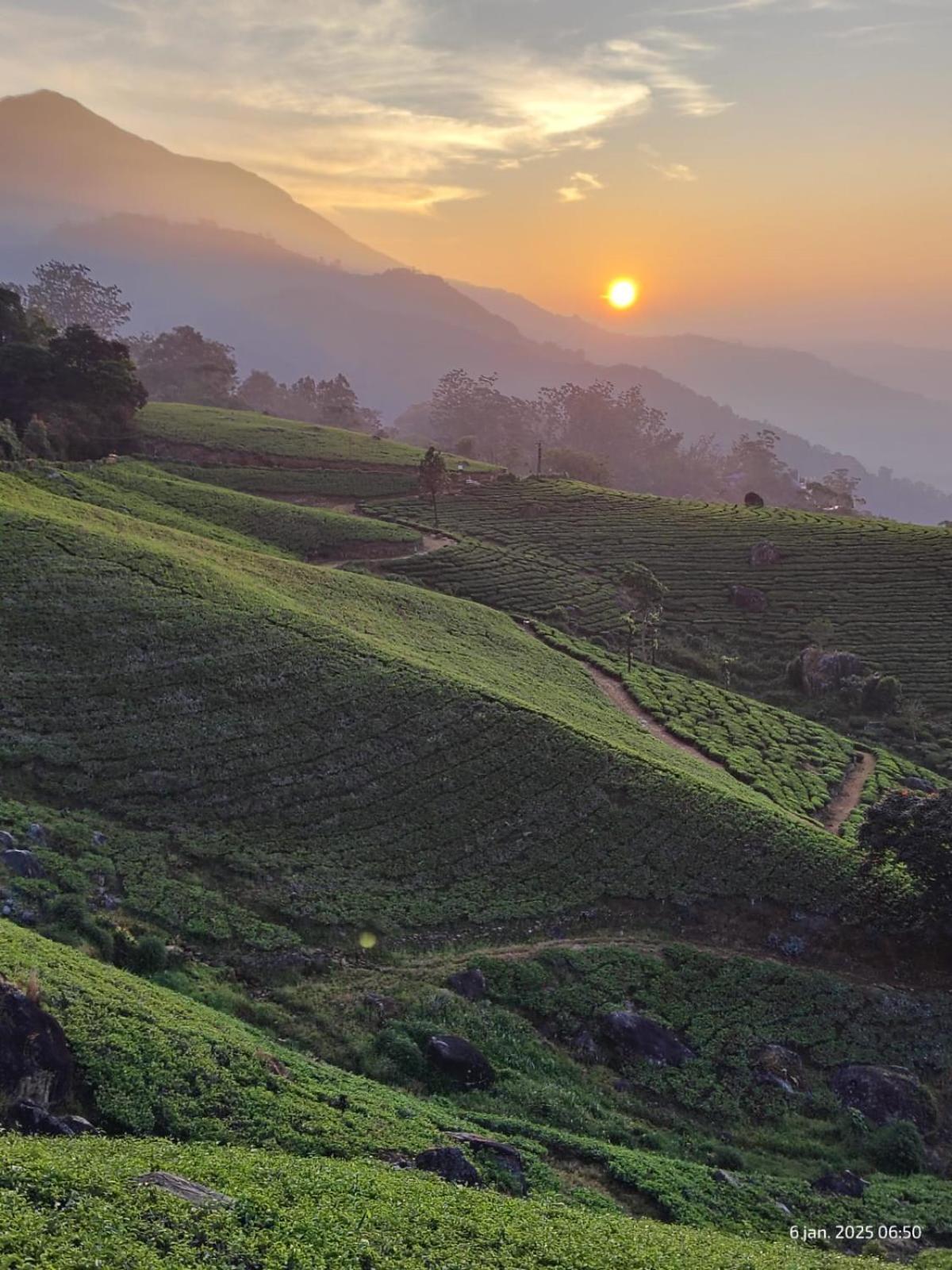 Jungle Jive Treehouse And Farm House Munnar Esterno foto