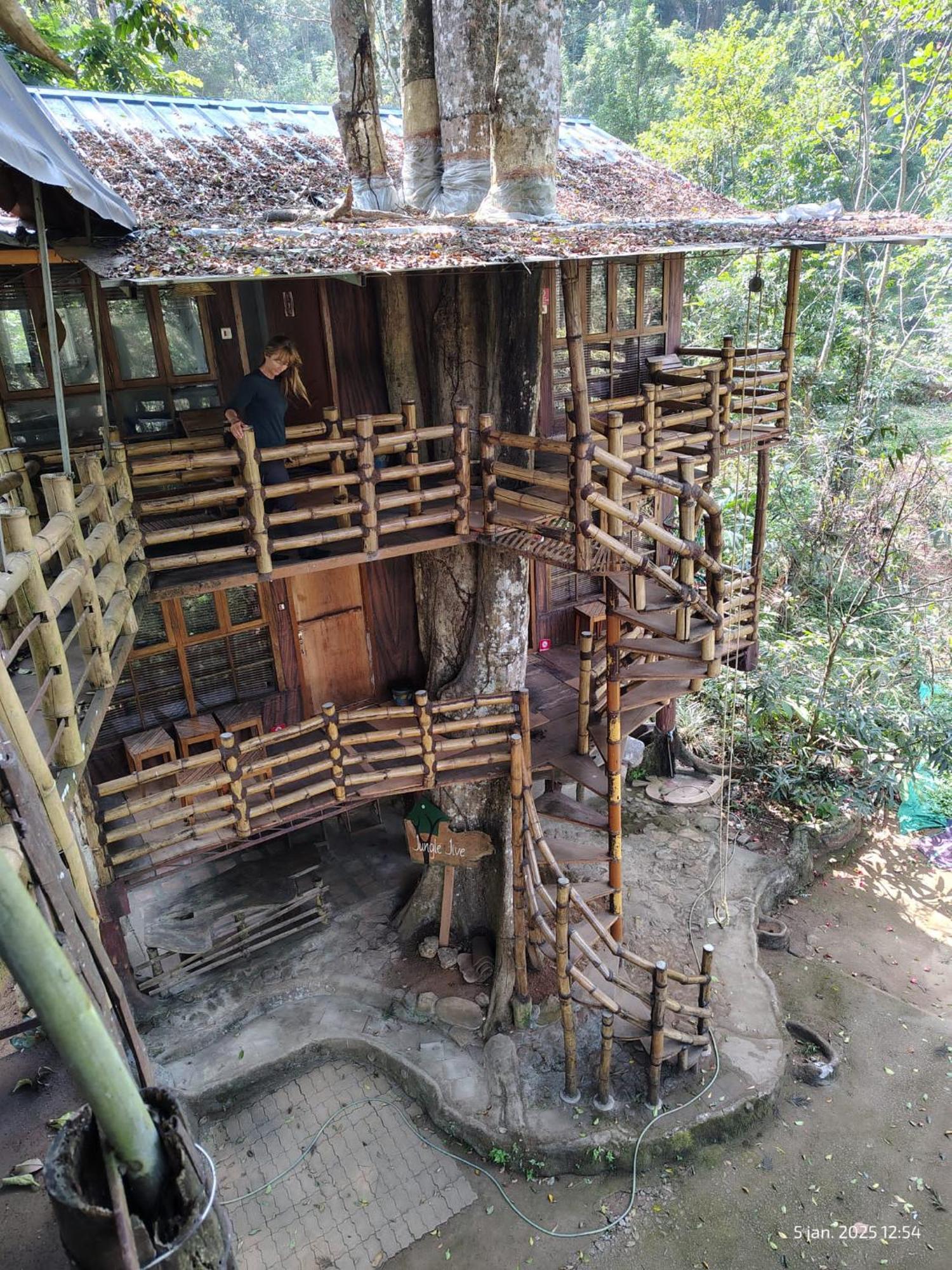 Jungle Jive Treehouse And Farm House Munnar Esterno foto