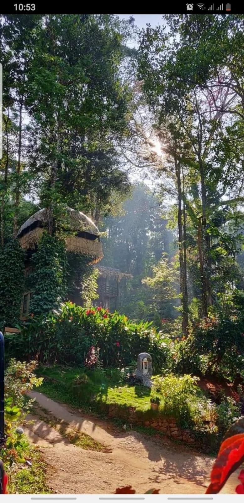 Jungle Jive Treehouse And Farm House Munnar Esterno foto