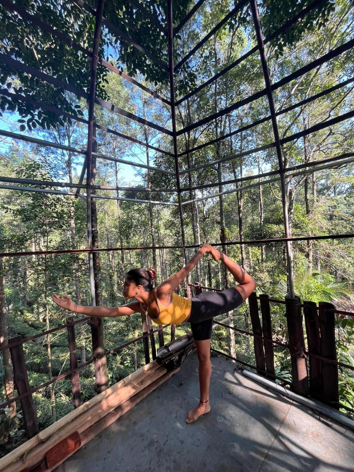 Jungle Jive Treehouse And Farm House Munnar Esterno foto